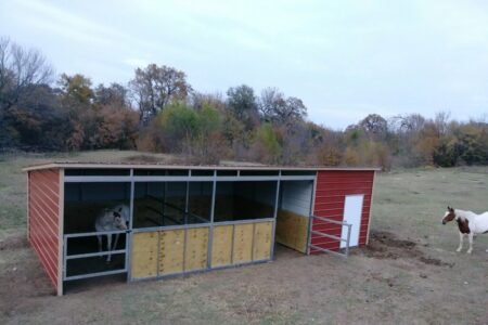 Loafing Shed vs. Barn