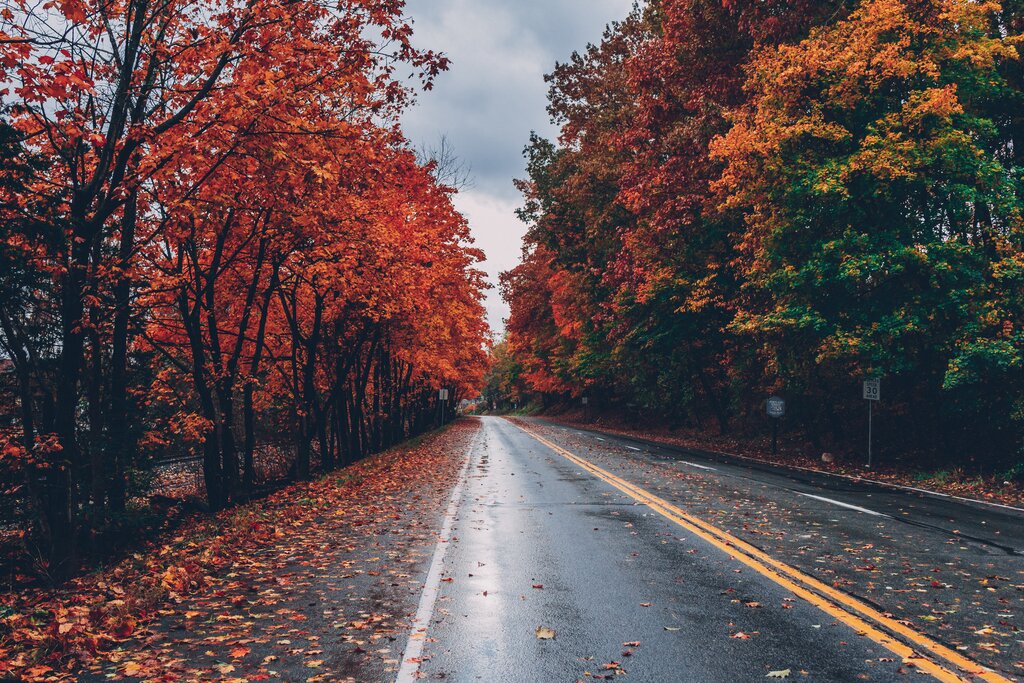 View of a road with colorful foliage: three of the best RV routes in America.