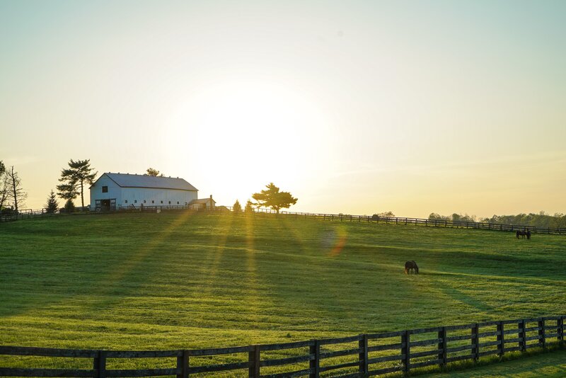 A metal structure on farmland with sunrise in the background and horse on the green open field.