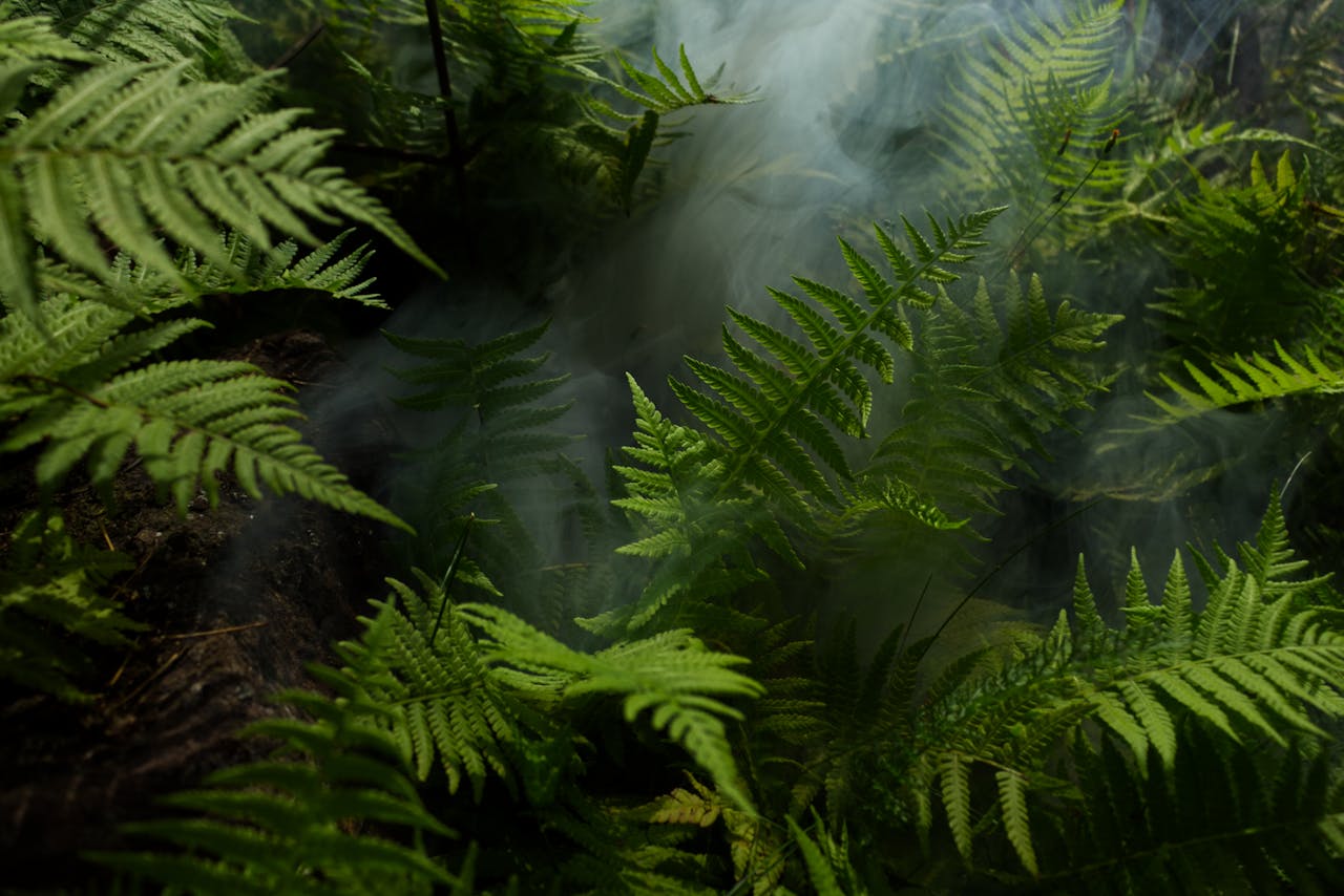 greenery humid environment: protect your metal building