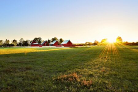 Agricultural Storage 101: What You Need to Know