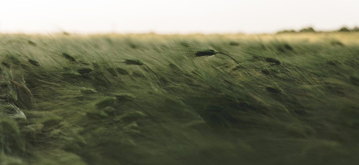 How Does Roof Pitch Affect Wind Resistance?