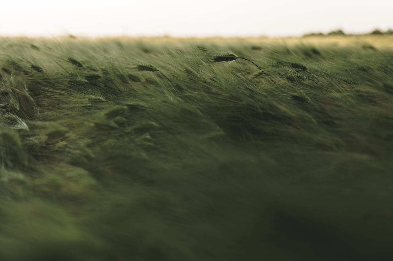 How Does Roof Pitch Affect Wind Resistance?