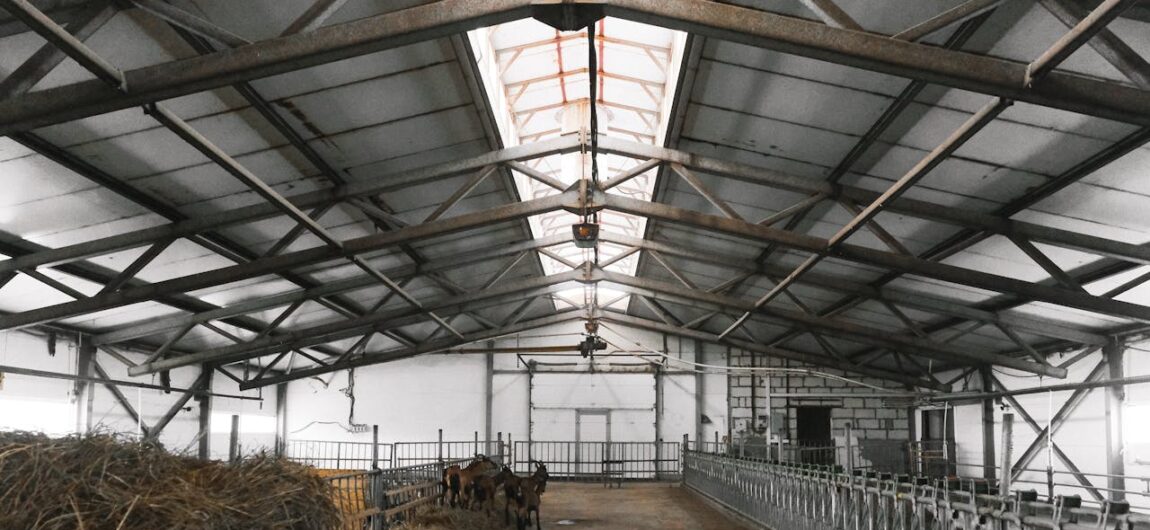 How to Design a Steel Barn for Livestock Comfort and Efficiency | American Steel, Inc. How to Design a Steel Barn for Livestock Comfort and Efficiency | American Steel, Inc.