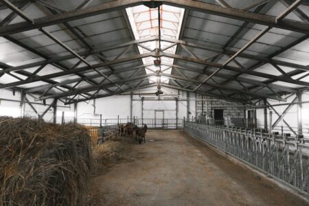 How to Design a Steel Barn for Livestock Comfort and Efficiency | American Steel, Inc.